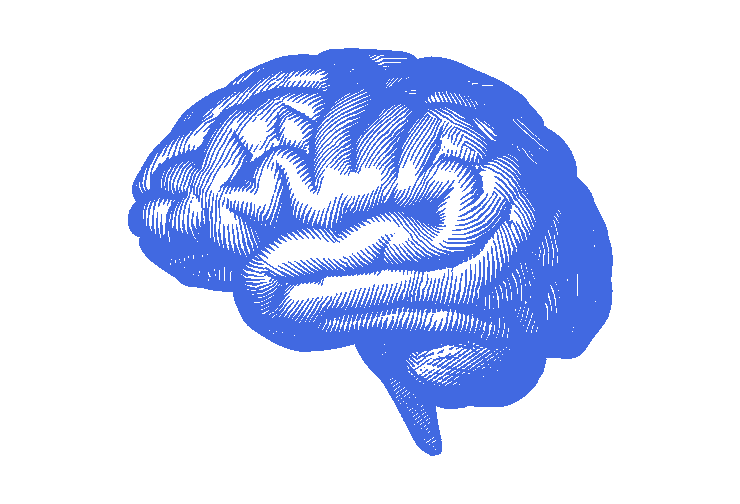 Royal blue human brain illustration